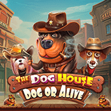 The Dog House Dog Or Alive